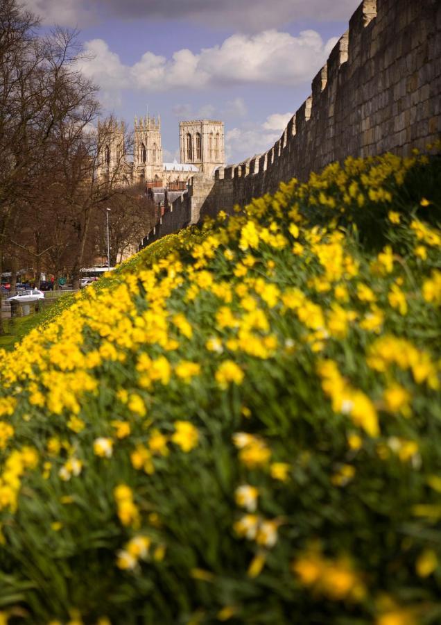 Shambles Suites In The Centre Of York, Sleeps 16 المظهر الخارجي الصورة